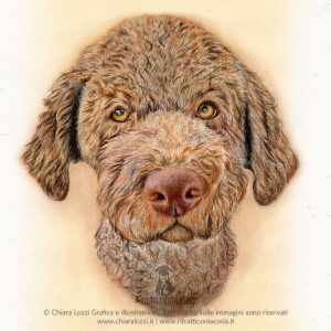 Ritratti di cani - Oliver