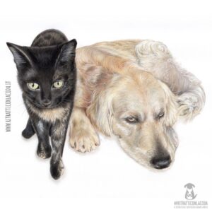 Ritratti di cani, gatti e altri animali realizzati a mano - gatta tartarugata e Golden Retriever