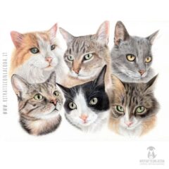 Ecco un bel ritratto con sei gatti!