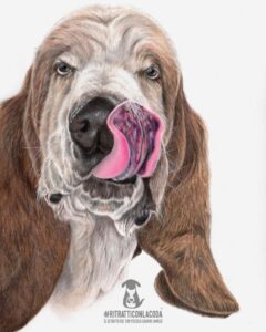 idee regalo per amanti dei cani