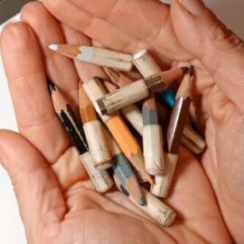 Mani dell'artista che raccolgono un gruppo di matite colorate consumate dal lavoro, simbolo della manualità e della creazione di ritratti di animali fatti a mano.